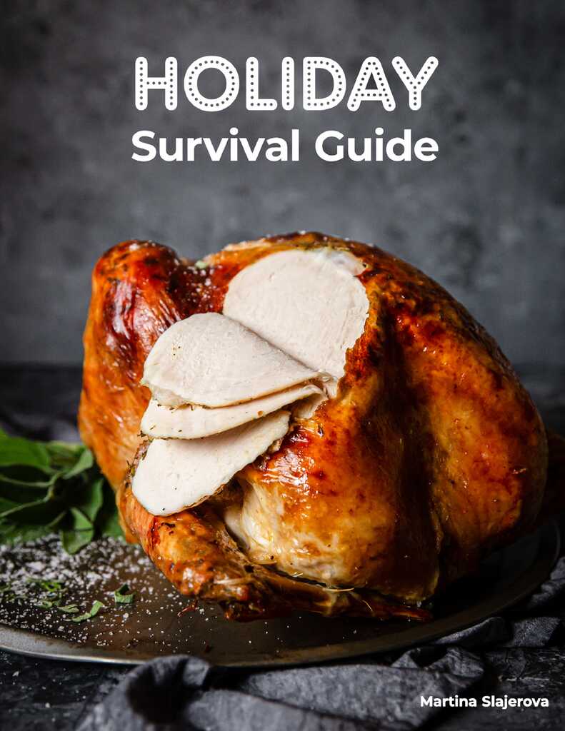 Holiday Survival Guide by Martina Slajerova